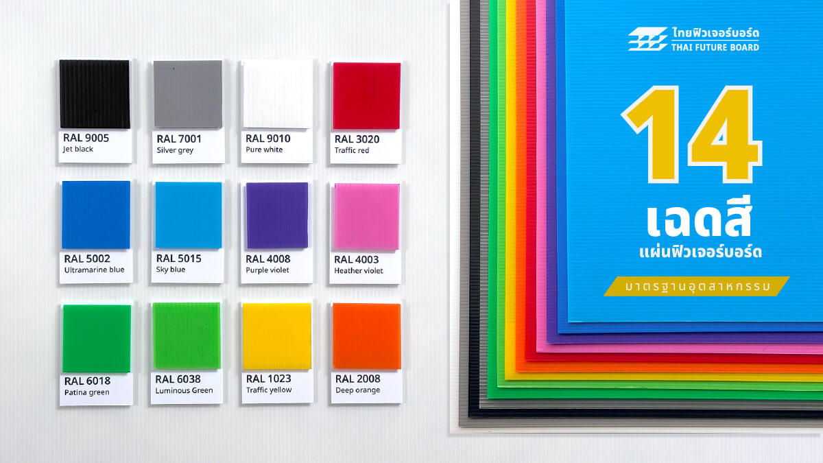 Tha Future Board Color-100